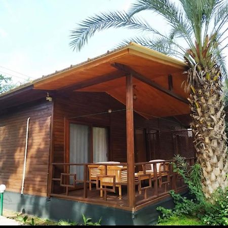 Olympos Yavuz Hotel Çıralı المظهر الخارجي الصورة