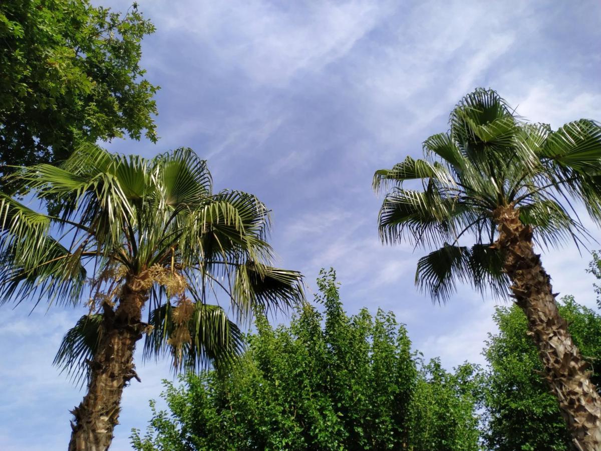 Olympos Yavuz Hotel Çıralı المظهر الخارجي الصورة