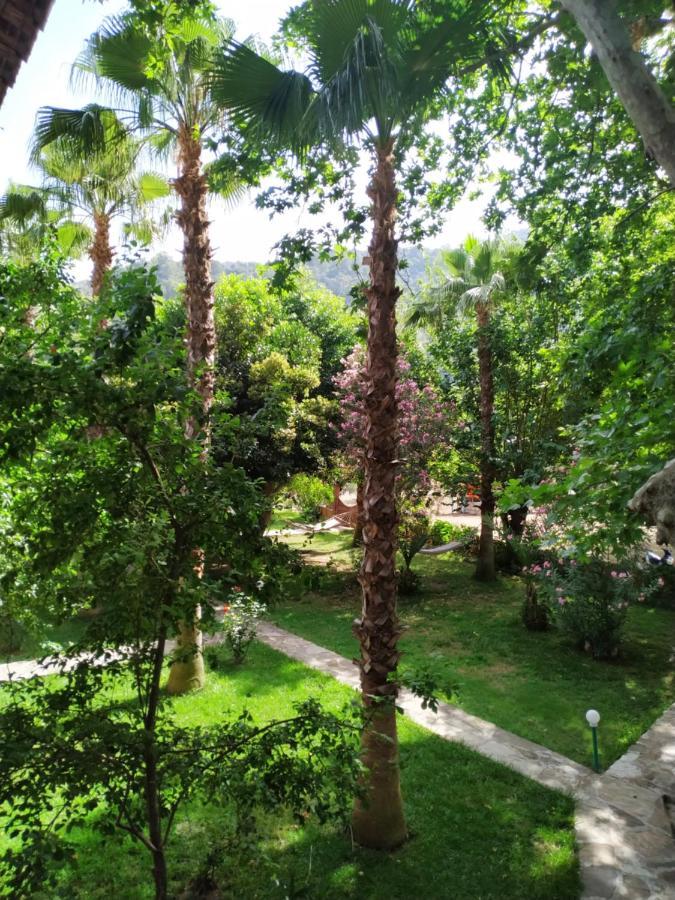 Olympos Yavuz Hotel Çıralı المظهر الخارجي الصورة