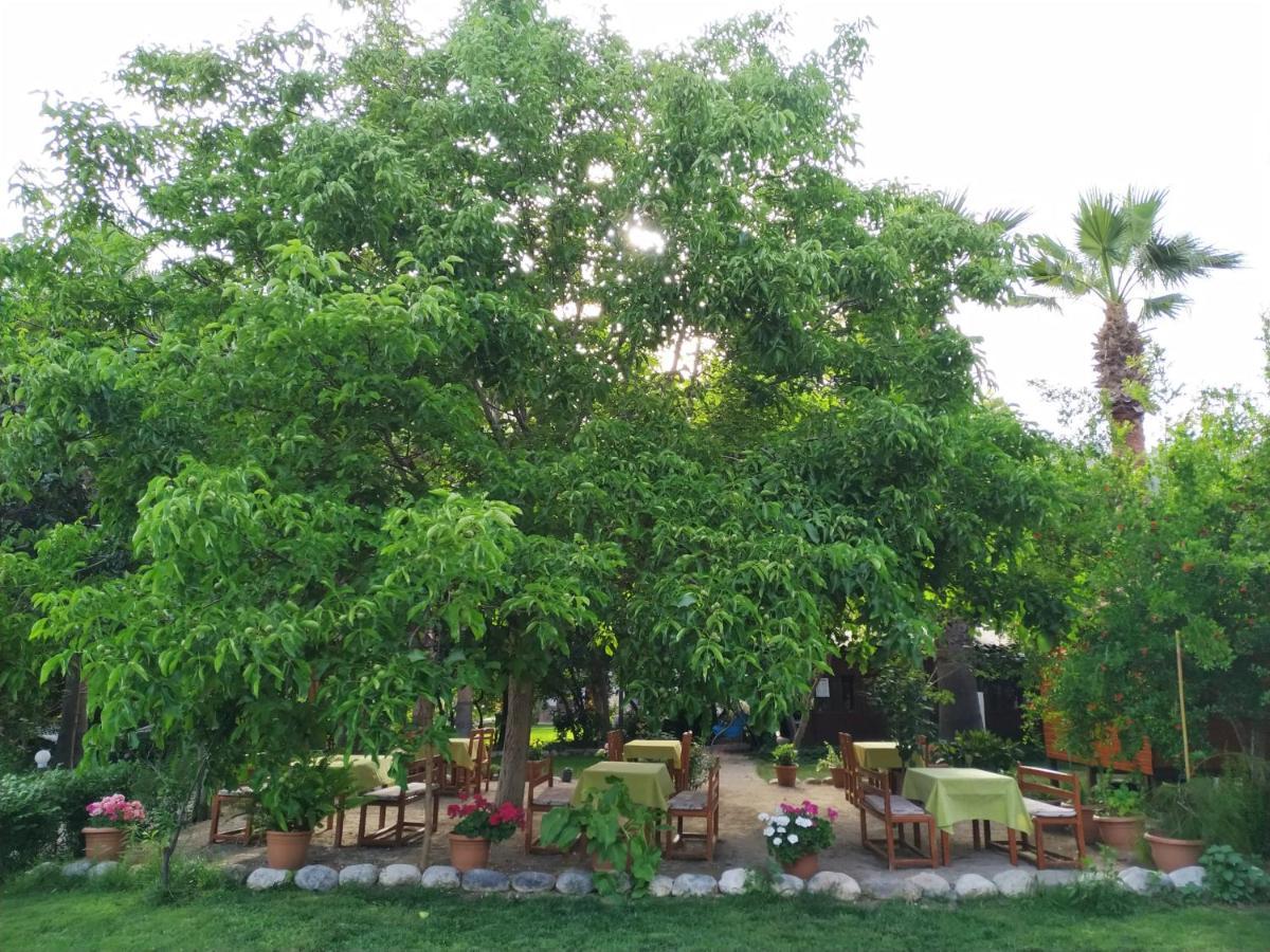 Olympos Yavuz Hotel Çıralı المظهر الخارجي الصورة