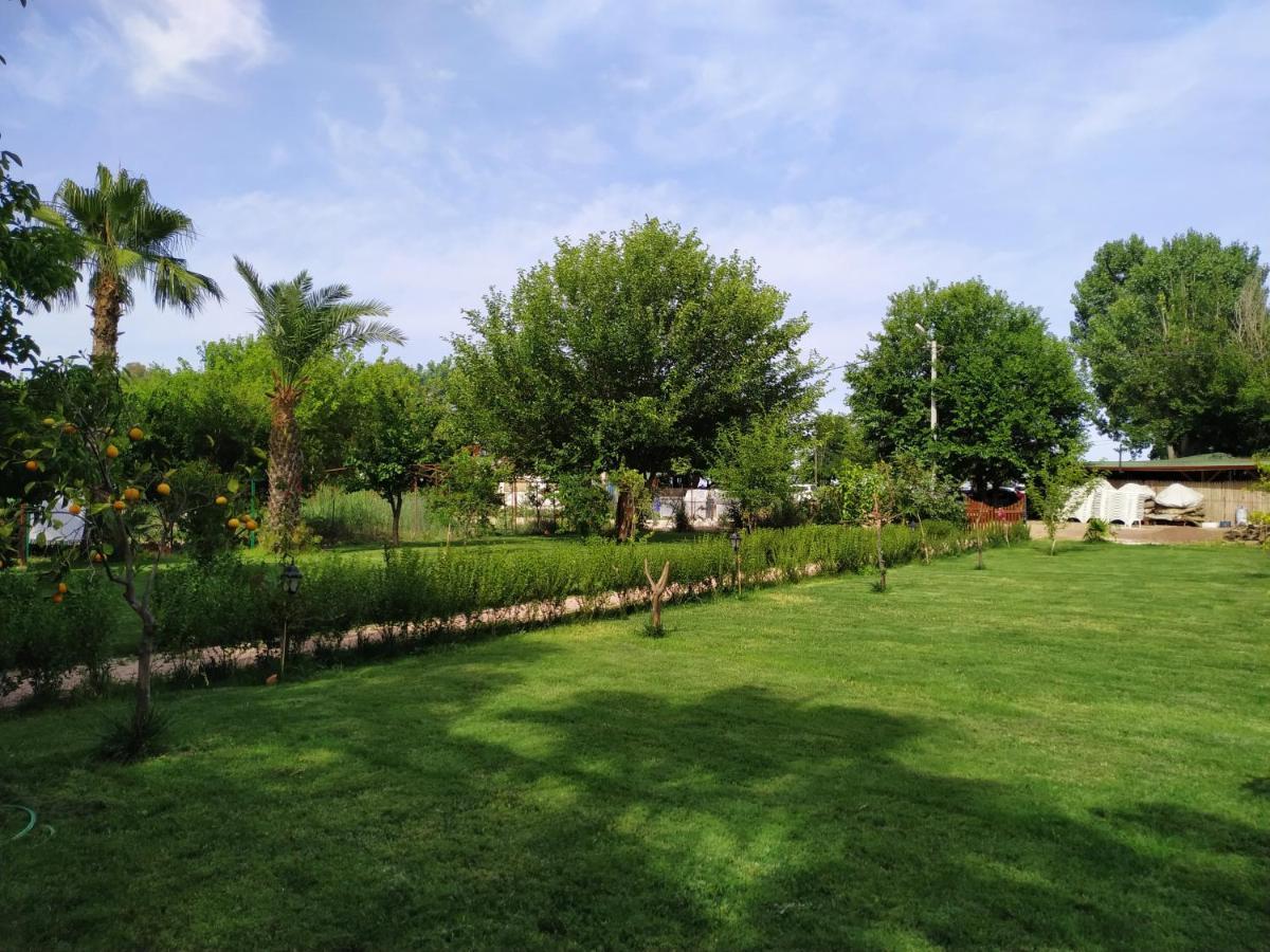 Olympos Yavuz Hotel Çıralı المظهر الخارجي الصورة