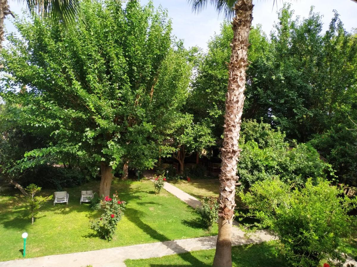 Olympos Yavuz Hotel Çıralı المظهر الخارجي الصورة