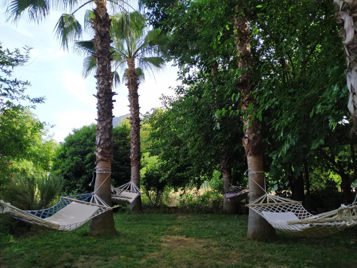 Olympos Yavuz Hotel Çıralı المظهر الخارجي الصورة