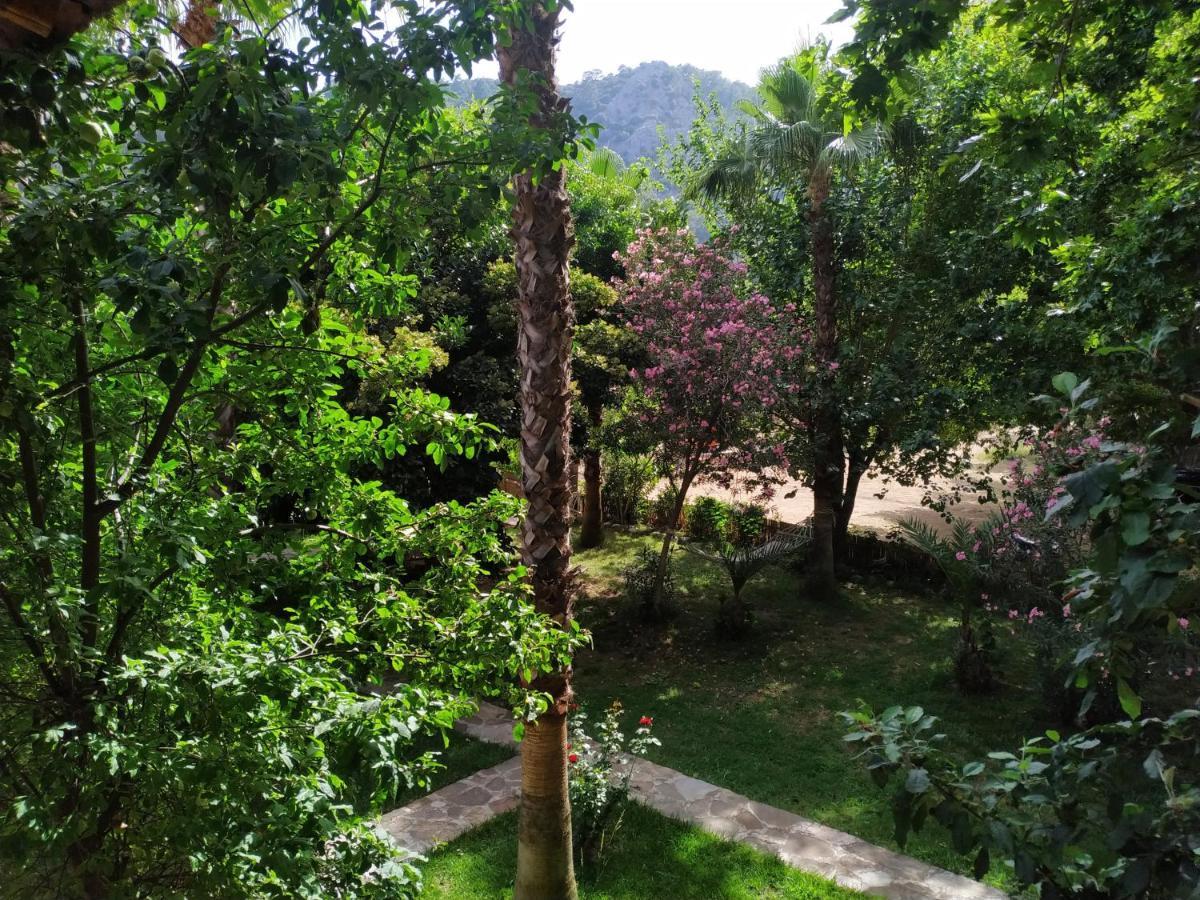 Olympos Yavuz Hotel Çıralı المظهر الخارجي الصورة