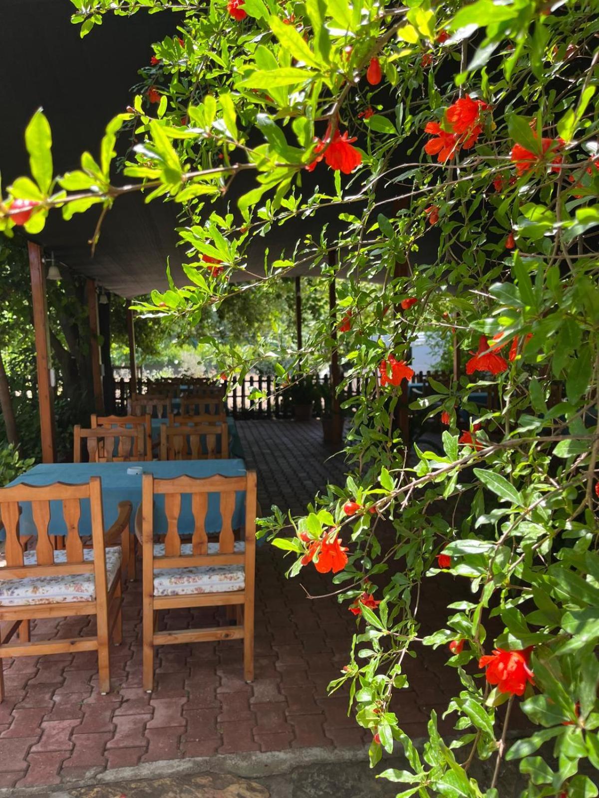 Olympos Yavuz Hotel Çıralı المظهر الخارجي الصورة