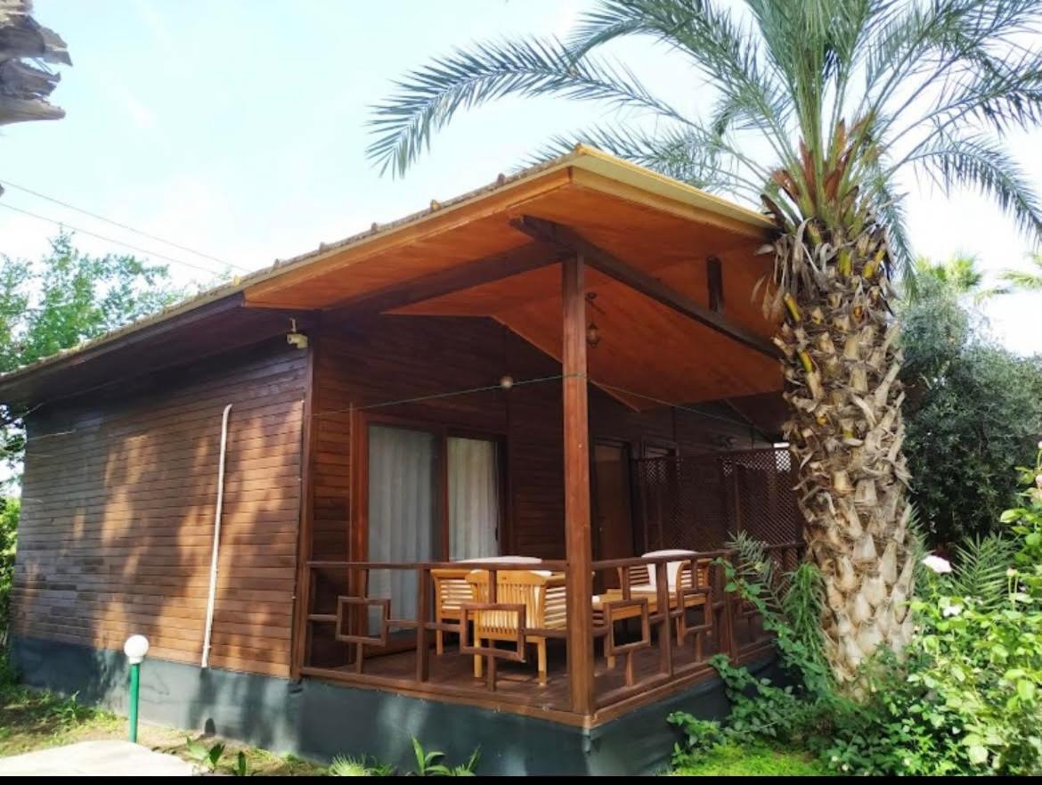 Olympos Yavuz Hotel Çıralı المظهر الخارجي الصورة