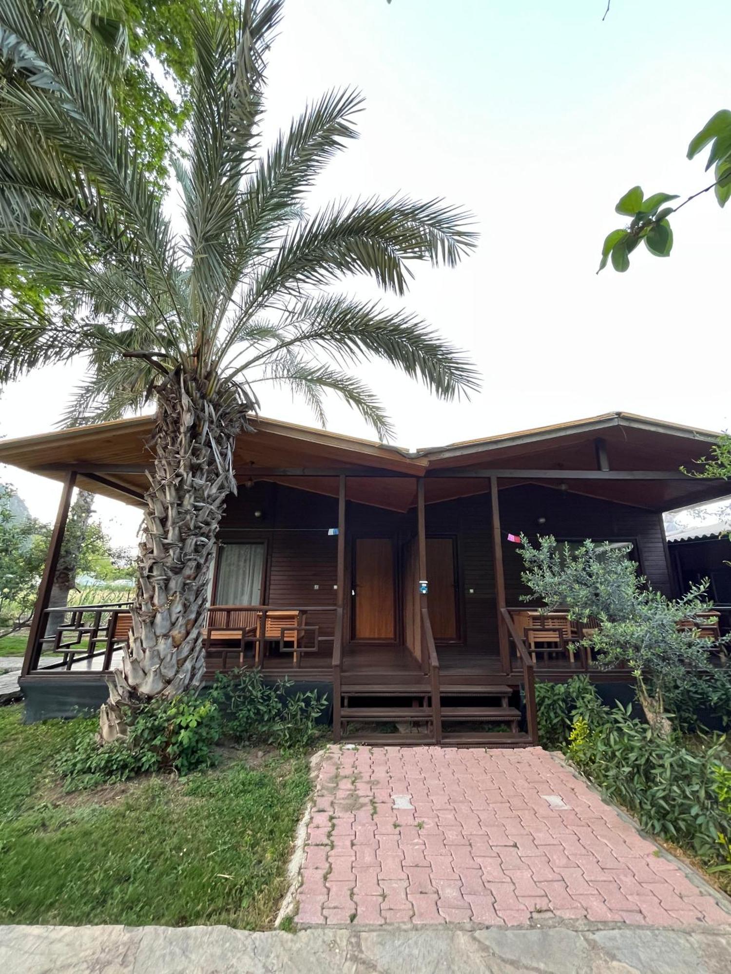 Olympos Yavuz Hotel Çıralı المظهر الخارجي الصورة